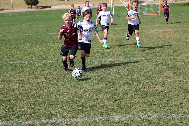 最为期待的 最为期待的