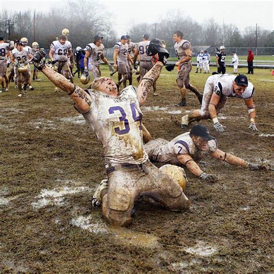 活动的机会 活动的机会