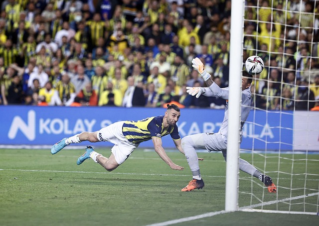 成为球迷的 成为球迷的