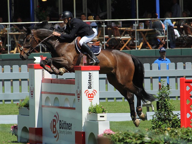 进行比赛 进行比赛